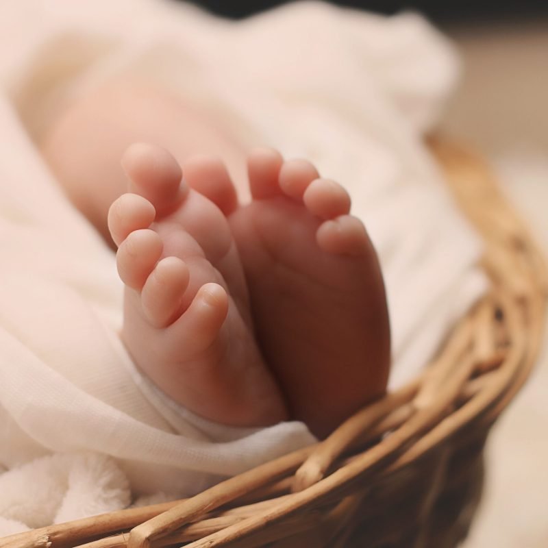 Baby's Cradle handcrafted from Rattan Cane